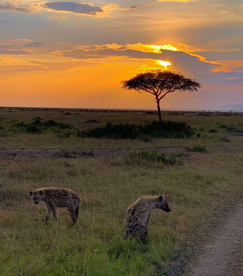 Narasha Homestay - Maasai Mara Talek Exterior photo